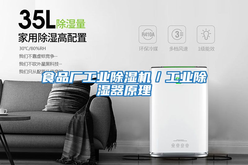 食品廠工業除濕機/工業除濕器原理