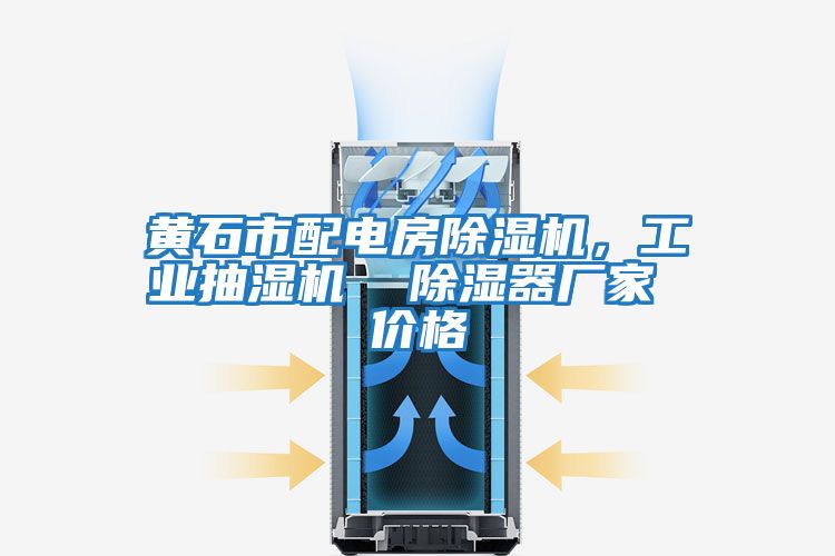 黃石市配電房除濕機，工業抽濕機  除濕器廠家 價格
