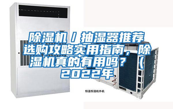 除濕機／抽濕器推薦選購攻略實用指南，除濕機真的有用嗎？（2022年