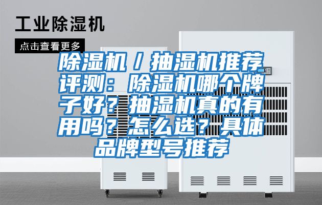 除濕機／抽濕機推薦評測：除濕機哪個牌子好？抽濕機真的有用嗎？怎么選？具體品牌型號推薦