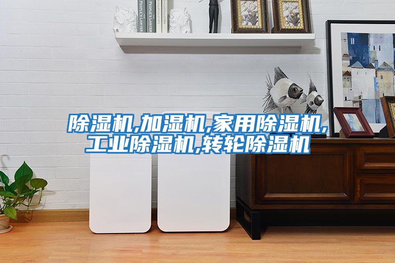 除濕機,加濕機,家用除濕機,工業(yè)除濕機,轉輪除濕機