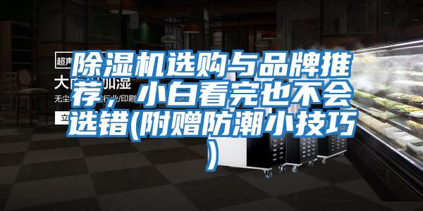 除濕機(jī)選購(gòu)與品牌推薦,小白看完也不會(huì)選錯(cuò)(附贈(zèng)防潮小技巧)