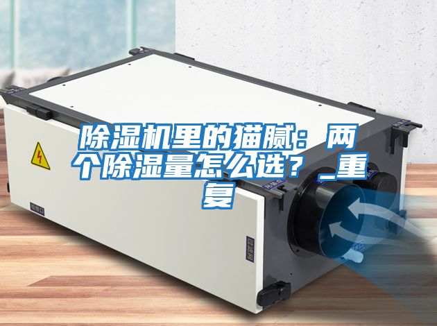 除濕機里的貓膩：兩個除濕量怎么選？_重復