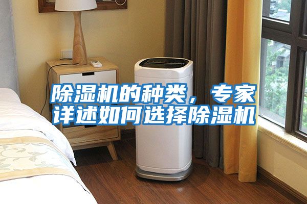 除濕機的種類，專家詳述如何選擇除濕機