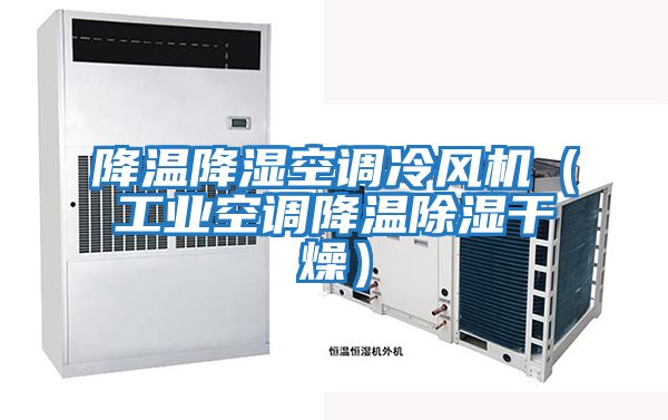 降溫降濕空調冷風機(工業空調降溫除濕干燥)