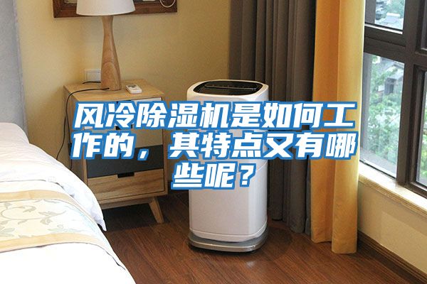 風冷除濕機是如何工作的，其特點又有哪些呢？