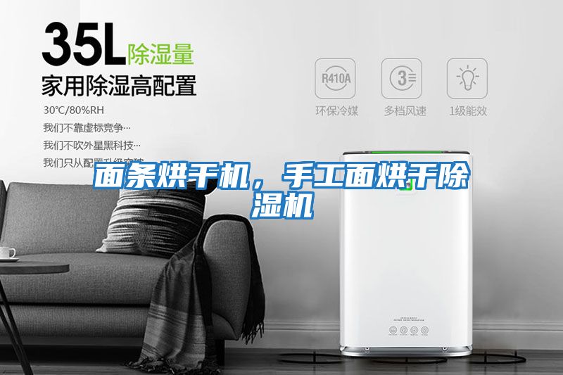面條烘干機，手工面烘干除濕機