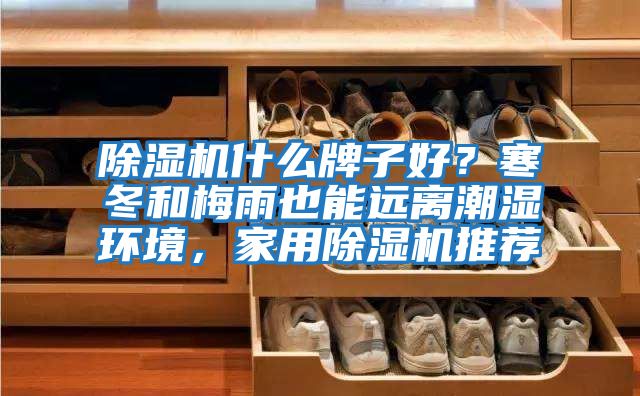 除濕機什么牌子好？寒冬和梅雨也能遠離潮濕環境，家用除濕機推薦