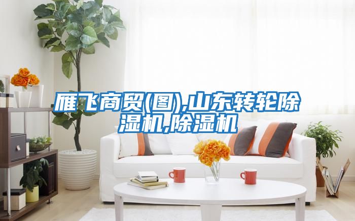 雁飛商貿(圖),山東轉輪除濕機,除濕機