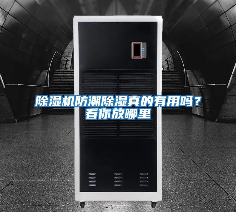 除濕機防潮除濕真的有用嗎？看你放哪里