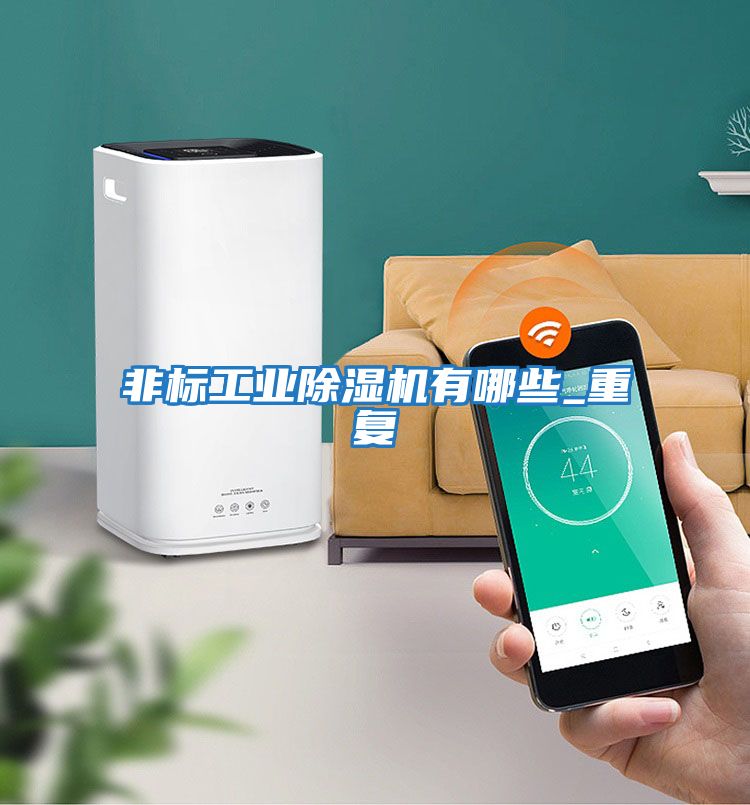 非標工業除濕機有哪些_重復