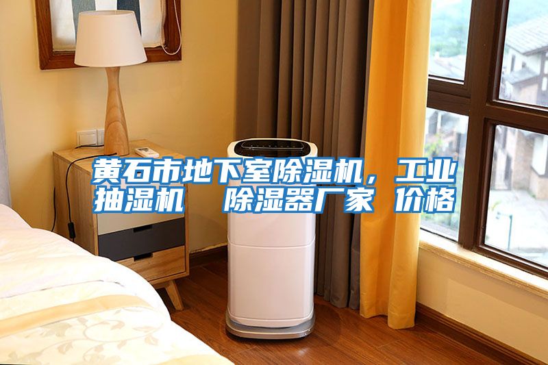 黃石市地下室除濕機，工業抽濕機  除濕器廠家 價格