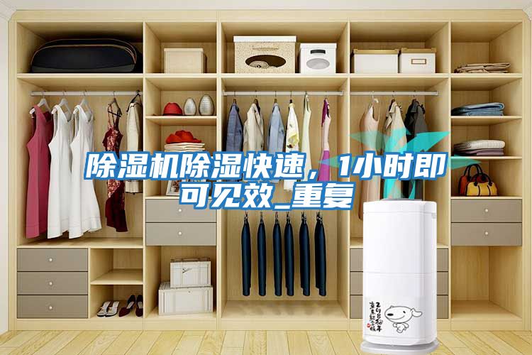 除濕機除濕快速，1小時即可見效_重復