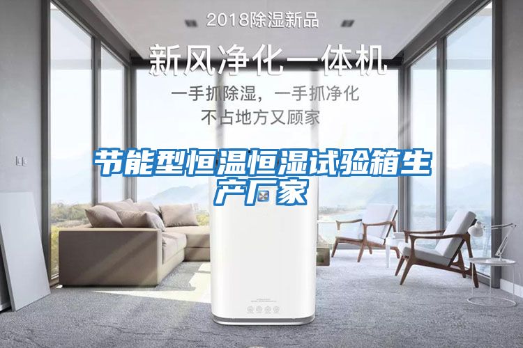 節能型恒溫恒濕試驗箱生產廠家