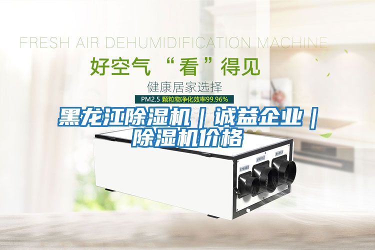 黑龍江除濕機(jī)｜誠益企業(yè)｜除濕機(jī)價(jià)格