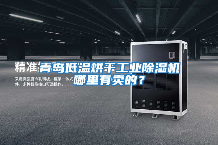 青島低溫烘干工業除濕機哪里有賣的?
