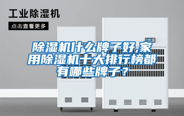 除濕機什么牌子好,家用除濕機十大排行榜都有哪些牌子？