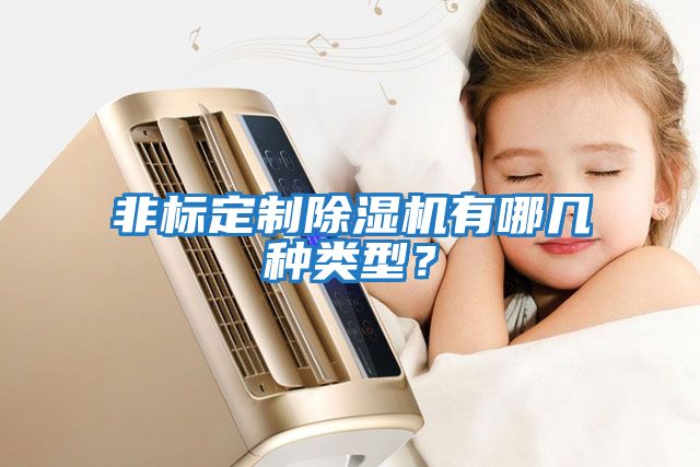 非標定制除濕機有哪幾種類型？