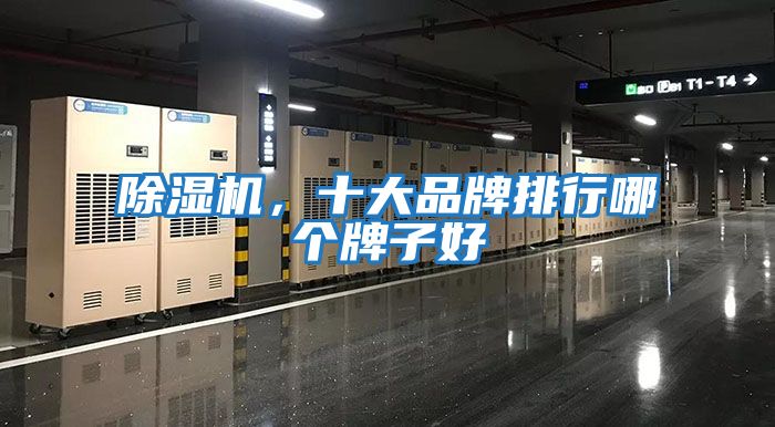 除濕機，十大品牌排行哪個牌子好