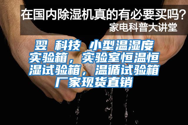 翌昇科技 小型溫濕度實(shí)驗(yàn)箱，實(shí)驗(yàn)室恒溫恒濕試驗(yàn)箱，溫循試驗(yàn)箱廠家現(xiàn)貨直銷