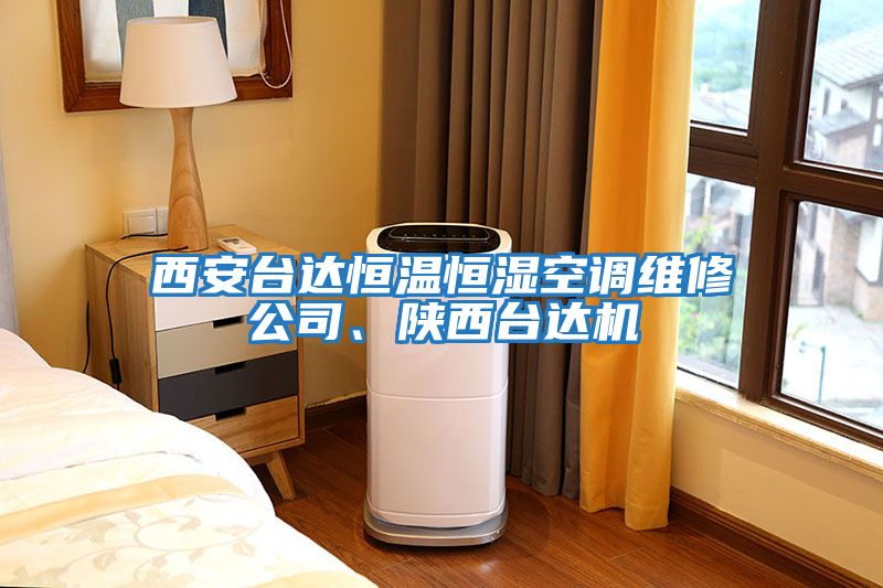 西安臺達(dá)恒溫恒濕空調(diào)維修公司、陜西臺達(dá)機