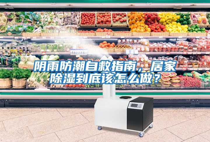 陰雨防潮自救指南，居家除濕到底該怎么做？