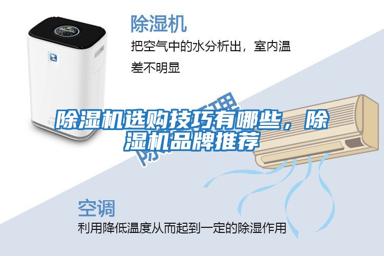 除濕機(jī)選購(gòu)技巧有哪些,除濕機(jī)品牌推薦