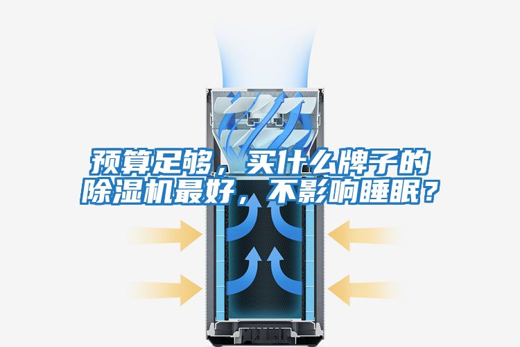預算足夠，買什么牌子的除濕機最好，不影響睡眠？