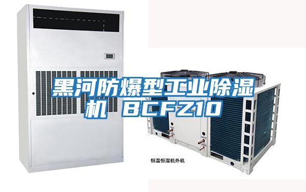 黑河防爆型工業除濕機 BCFZ10