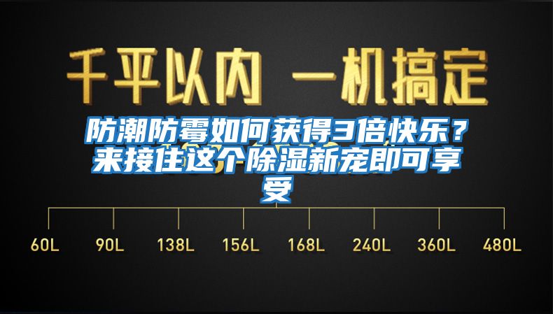 防潮防霉如何獲得3倍快樂？來接住這個除濕新寵即可享受