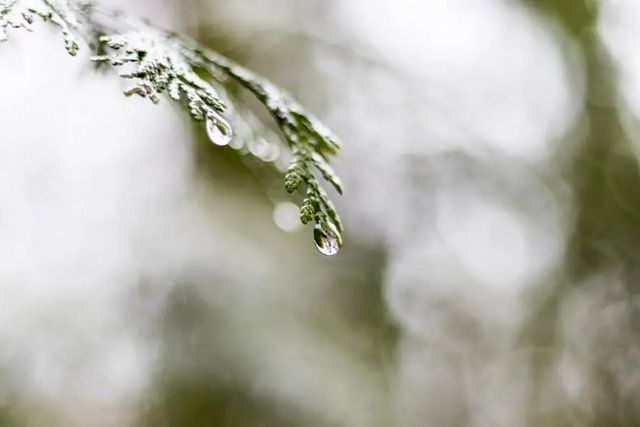 空氣濕度大帶來的危害有哪些，你知道嗎？