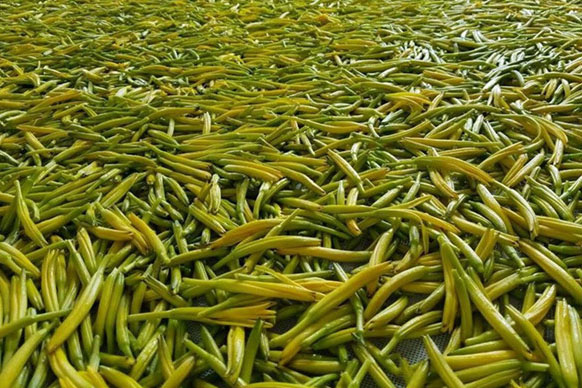 無硫金針菜烘干如何保持品相？不發黑？_除濕機廠家