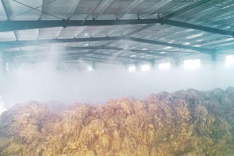 提升煙葉加工質量，高效回潮很重要 煙葉除濕機